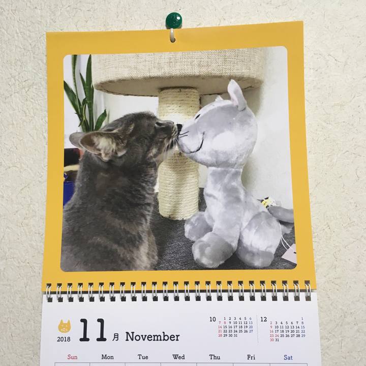 01c00984 66a6 4151 b00e d52de1ccdfa2 1541506904898