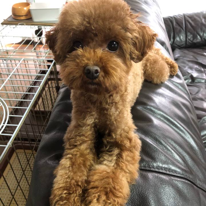 01c059f6 985d 42ea 8744 cb01df84512a 1571538923852