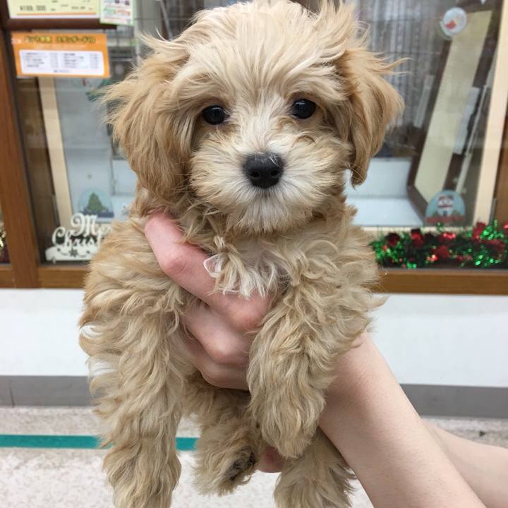 01c05cb7 e940 49e5 8c39 8ff154d31161 1619036171674