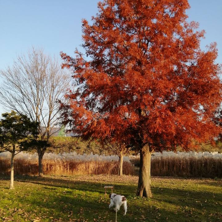 01c06bb9 144f 41dd 946c 25ad1441060e 1575976325899