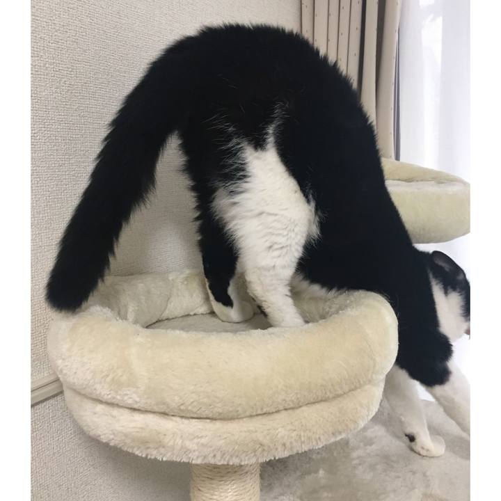 01c0805e 84d6 43af bf60 00bdbab9d19c 1587964442072