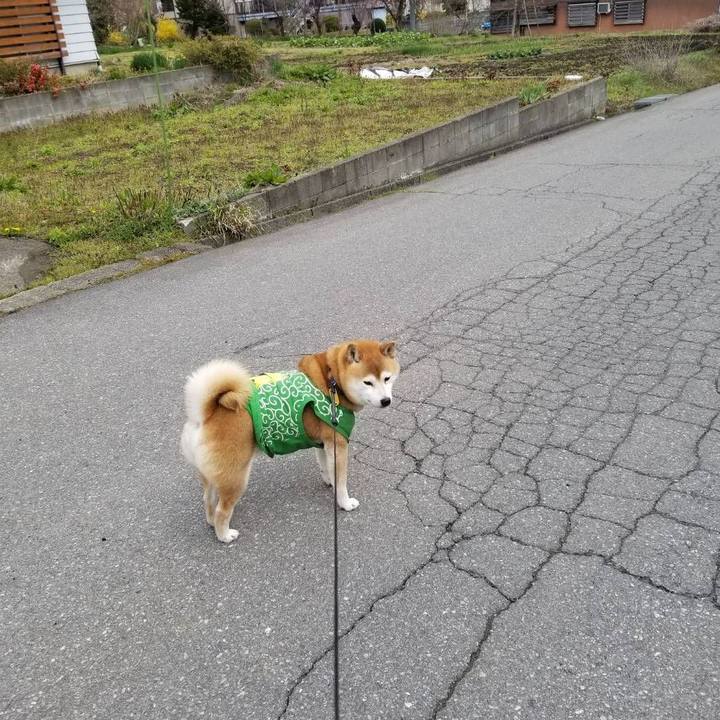 01c09c9a 0dc8 4dc9 aa9f dc1ea201fa7d 1586491915072