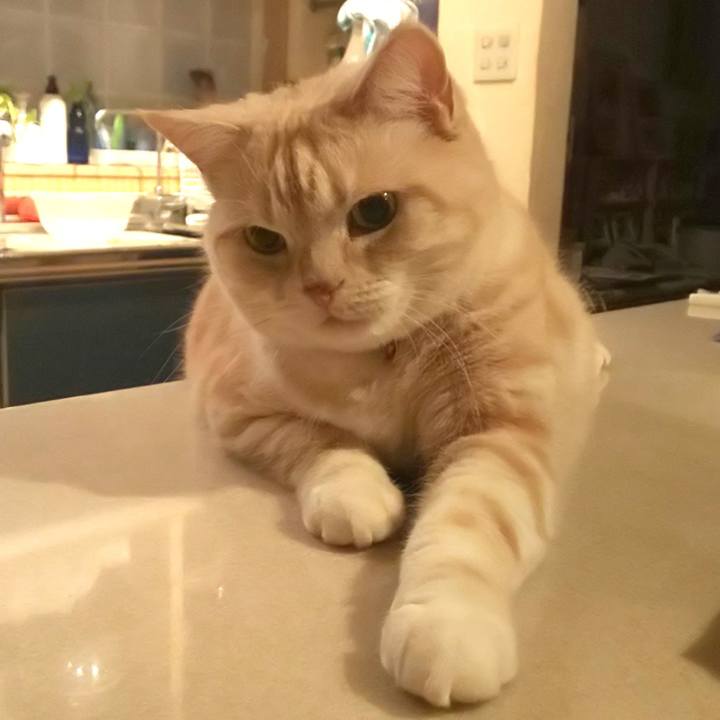 01c0a867 5b31 48a4 b45c e0144d3d7d68 1580950141844