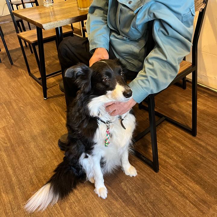 01c0db58 415f 41b0 9f84 cb67d8e0f7a0 1766139018898