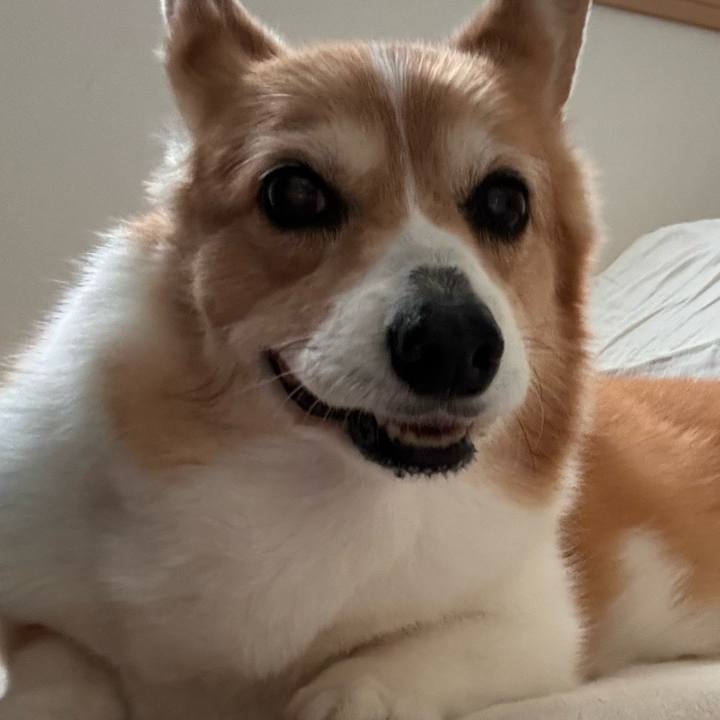 01c105c8 ee37 4ee1 8343 461a733441c5 1775550285740