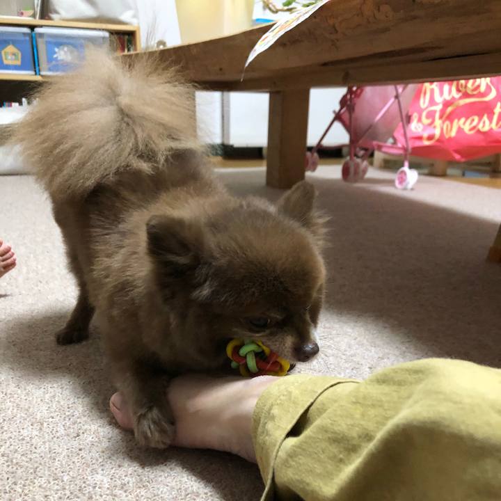 01c1086a fb13 403f bc16 67083ea97ee5 1575870647949