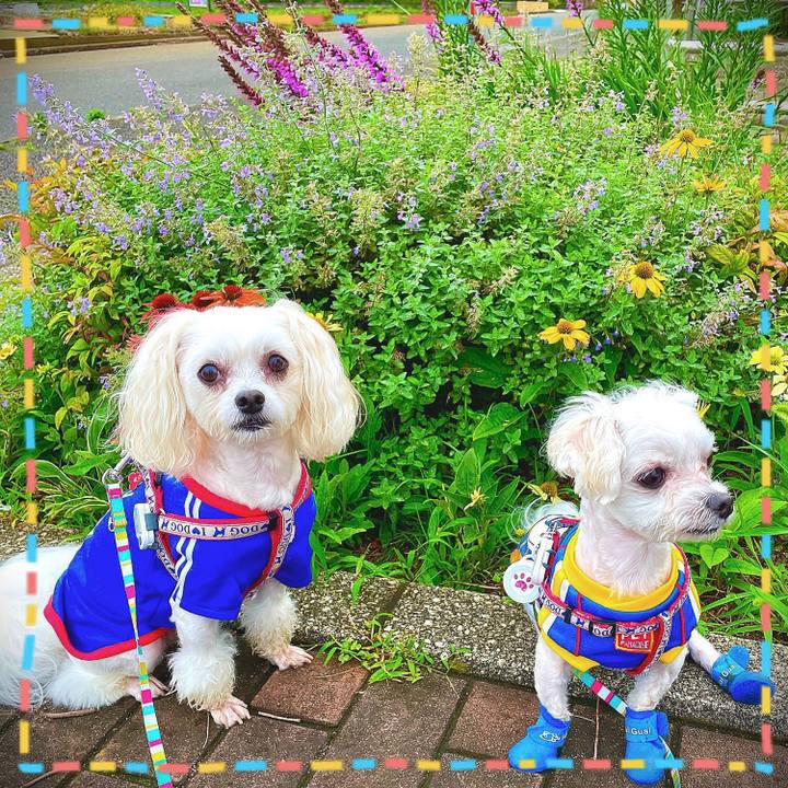 01c166ec 8072 45c0 903a c43a2e490df0 1625566465883