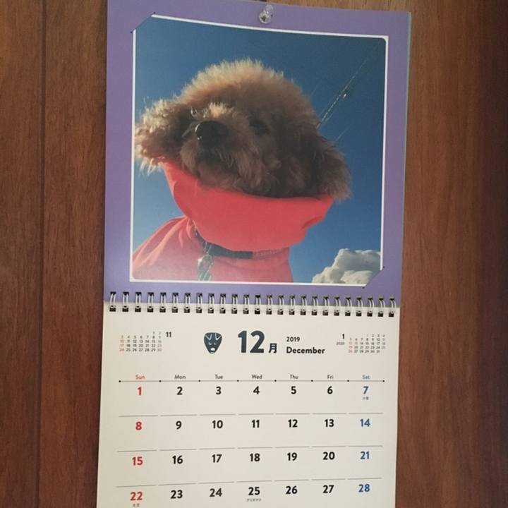 01c18706 180b 4b3a a449 caa843c0f1b5 1575440075312