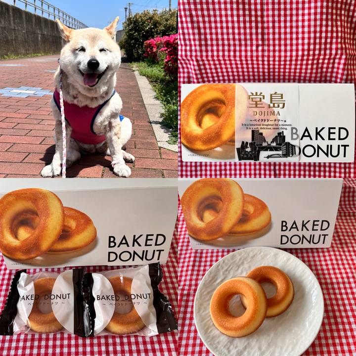 01c18ebc 4597 4977 9991 ac4d9e1b5aee 1745211232962