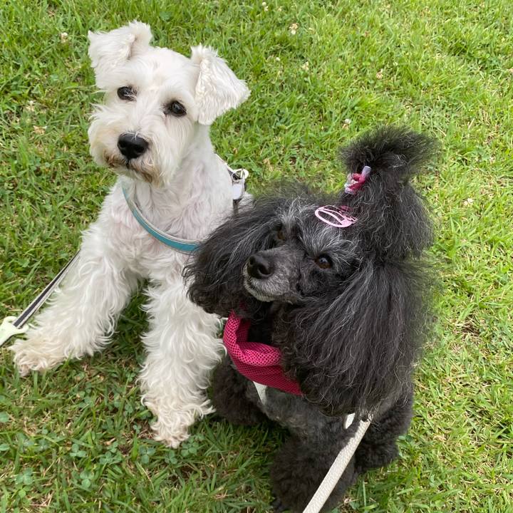 01c1aa6b 1063 4acd 9ade d3afb049b4f4 1720696808096