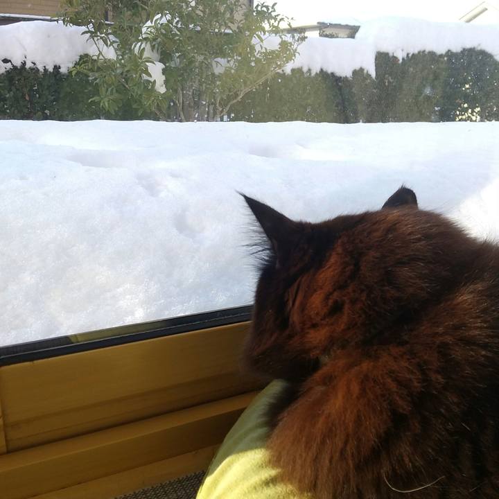 01c1b7ee 9146 424c 9ca9 49859bfdf5b0 1676069938420