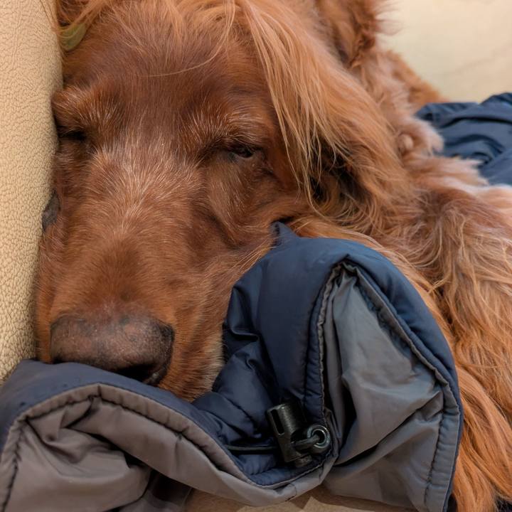 01c1c5a7 7d83 42e2 b738 2b251f64b6fe 1764461433329