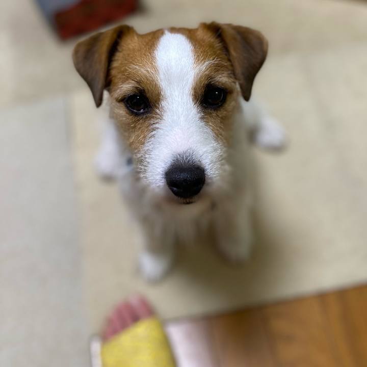 01c1cd43 15b1 4729 a868 6e421e6aee4f 1690117638603