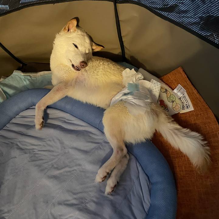 01c1cd85 09e7 4b68 8f3a f3a111361cd1 1663062804859