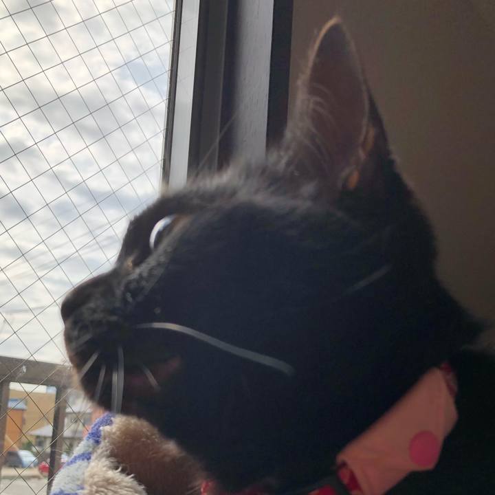 01c1d499 b95e 49a7 81f1 181b45072609 1620688807616