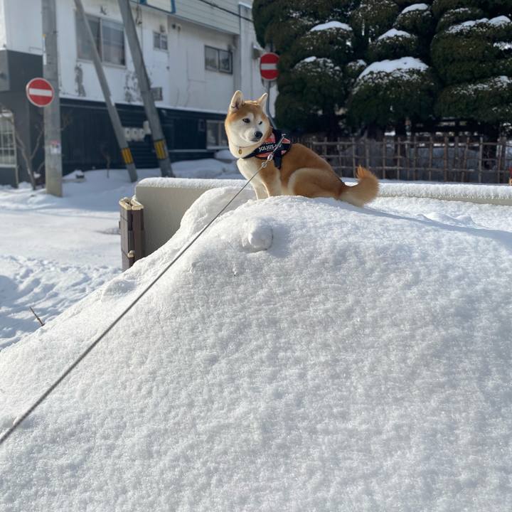 01c1e37d 53b7 48c9 89c2 c3e15dc9f43d 1613696238516