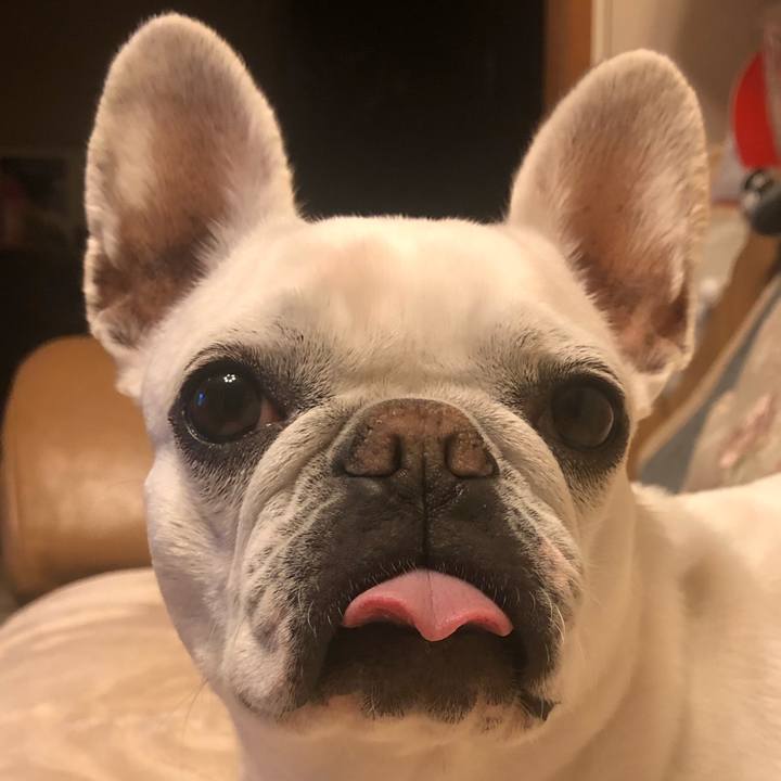 01c1fa3a f67c 4cc6 bf0f 59e72f156962 1645875842897