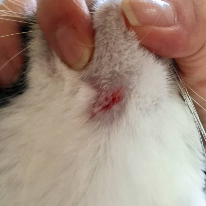 01c20e81 499f 40bc 9c8f 524a7a018b1b 1559140604054