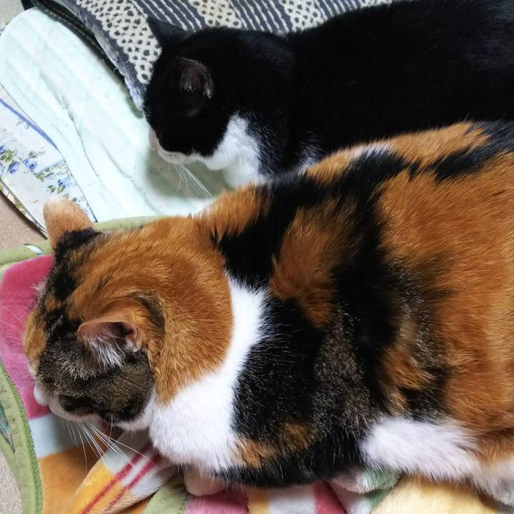 01c21682 782c 44c5 b4b6 3a3f6c42706f 1542577565262