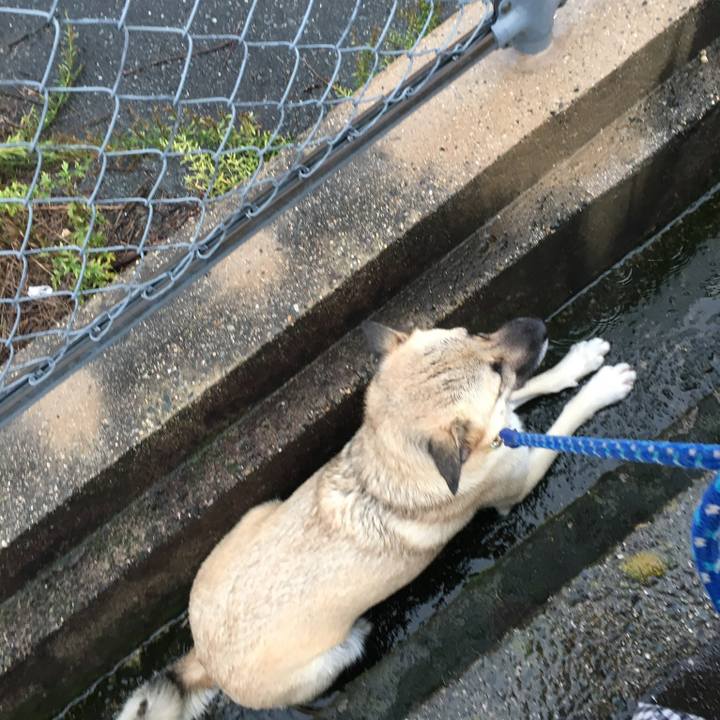 01c2169d 1eec 4821 a7c0 d367a7056414 1508057502710