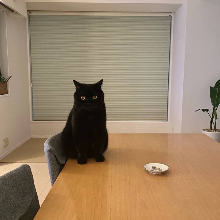 01c24c07 c04f 4bf1 a6af f3abf7f31eb1 1757591397247