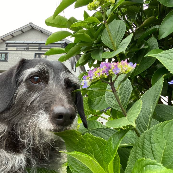 01c26065 9f64 4d8b a30a 8e4110b2d03c 1654730147518