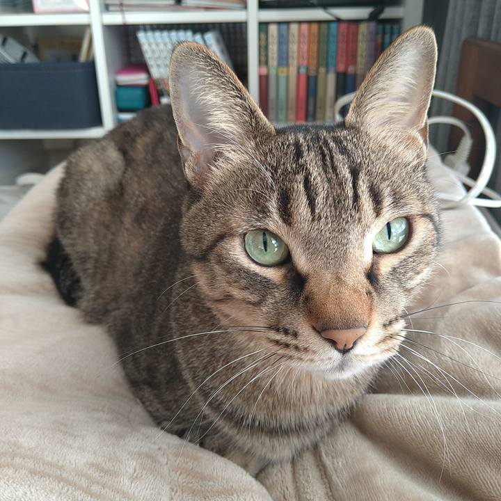 01c28609 633a 481b 8a79 cd39073cd0d8 1704941595115