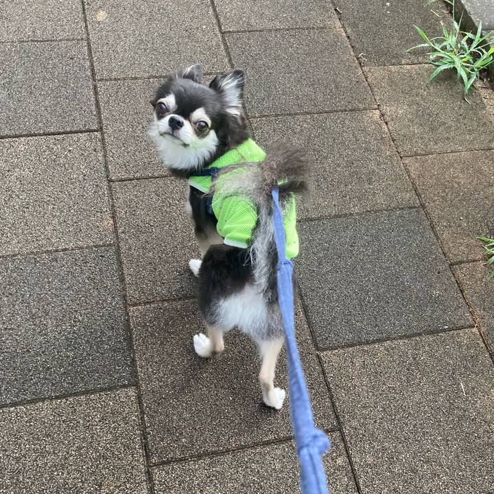 01c2a107 378d 4872 baa7 637cea8ef557 1692028392534