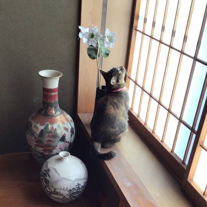 01c2bda8 a359 496f 9212 23eaa6197d61 1608005768471