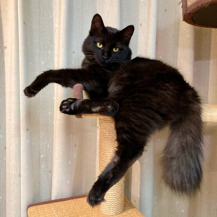 01c30c07 e09f 4bd9 9ccb 0fecd34ba299 1717128313805