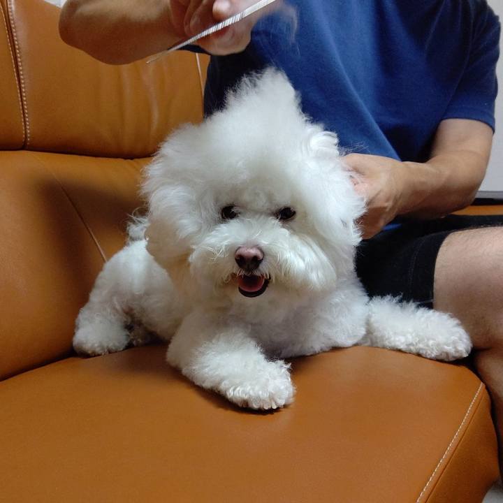 01c31eee bdd6 4d63 b15b 65caef7dbbcd 1630303007963