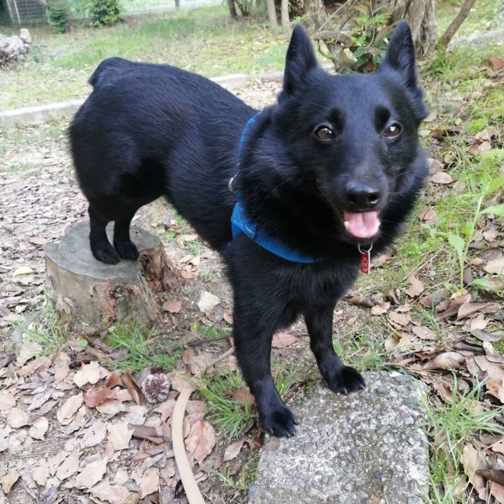 01c344ed 9443 4e10 964d e2aeaf76c536 1620548197164