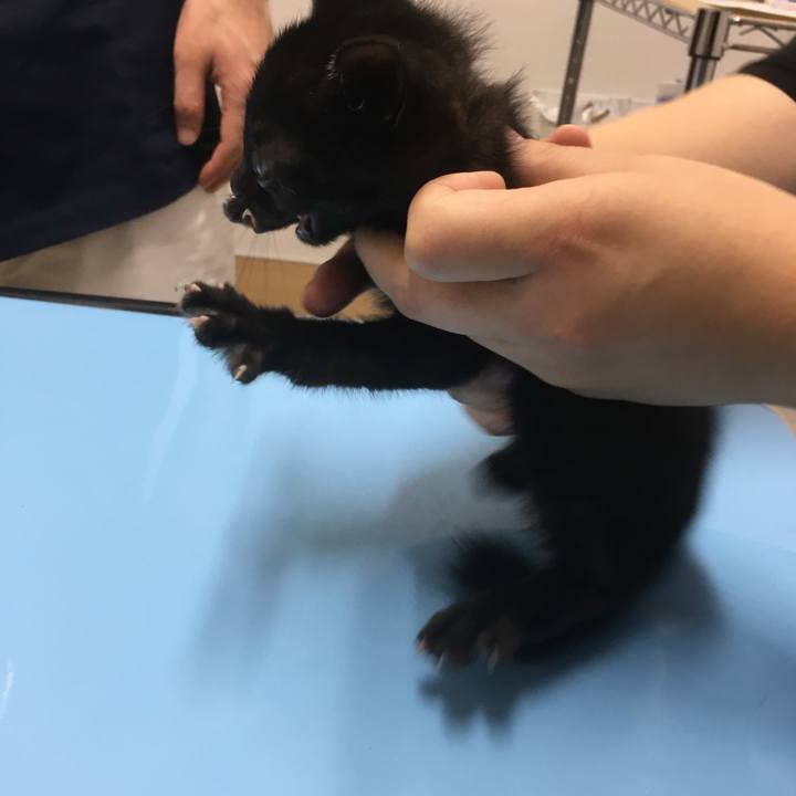 01c34566 f1c9 4c71 91ec b869f58c5366 1623727043958