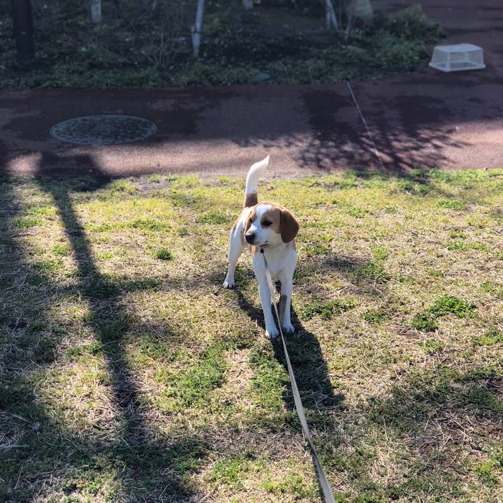 01c37c91 07b4 492b b17a 0d634a63a769 1554784538569