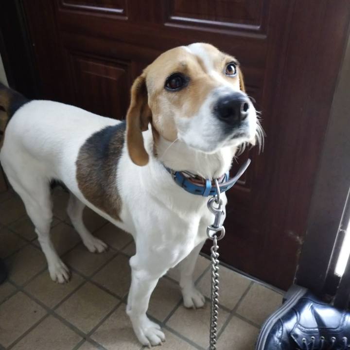 01c385ce c0be 4d51 a72e 3df23969b78f 1615376672670