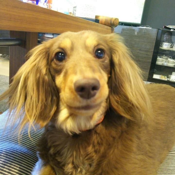 01c3b809 9a3c 4627 adc9 419be994bf89 1523752029236