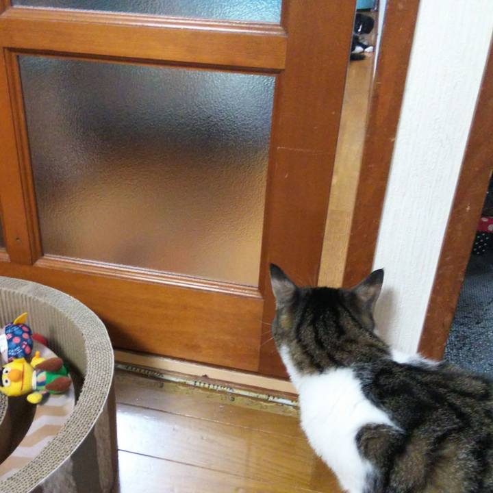 01c3c229 ac09 4425 968e d2adc2726b8a 1638875871912