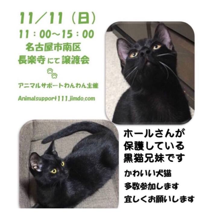 01c3e4ab 8e15 4f2e 9b12 30457d3a0ac3 1541001954143