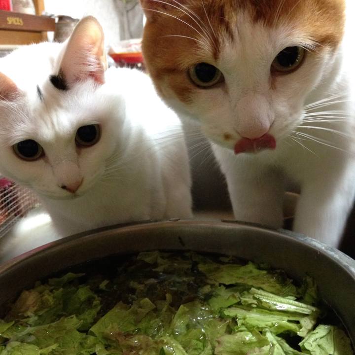 01c3ec63 ef2b 4e4b 929a 297b31bccb19 1508411158233