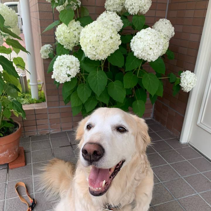 01c3f051 1785 4c0c 8245 7593b3e22603 1655460254925