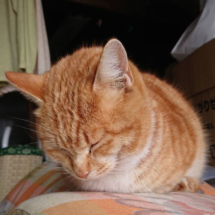 01c42716 f573 495d 8174 ede68151d3d4 1581397305594