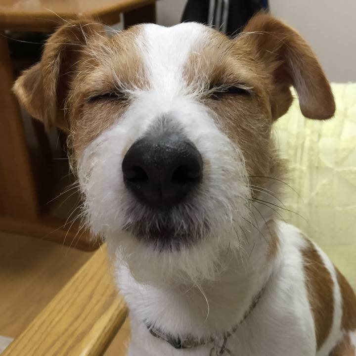 01c44251 f255 4c44 b694 6f741eed1063 1515410626106