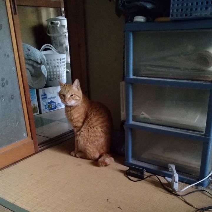 01c47bdf d401 40e1 8aa5 b22a6127685b 1716070117034