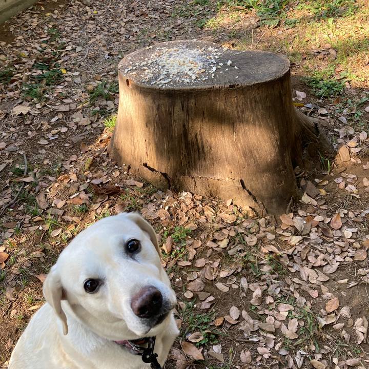 01c4880b b51f 4d81 8ac2 0d4bfe75cf2f 1701444634186