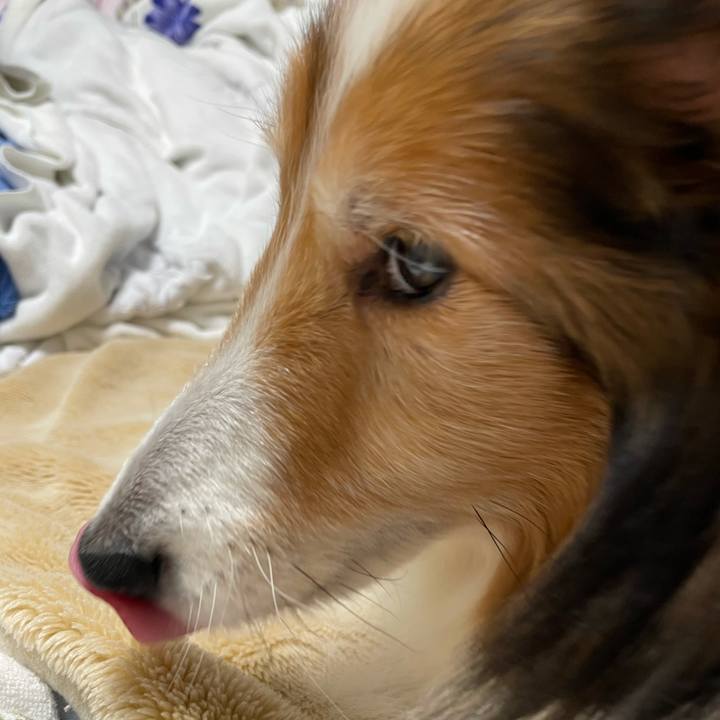 01c489ff bd5b 4e5e 9a03 b4877915f1f7 1611747813367