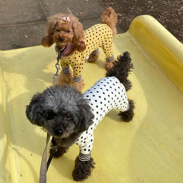 01c4ca03 a049 46be b0c5 f93822d18163 1605053478849