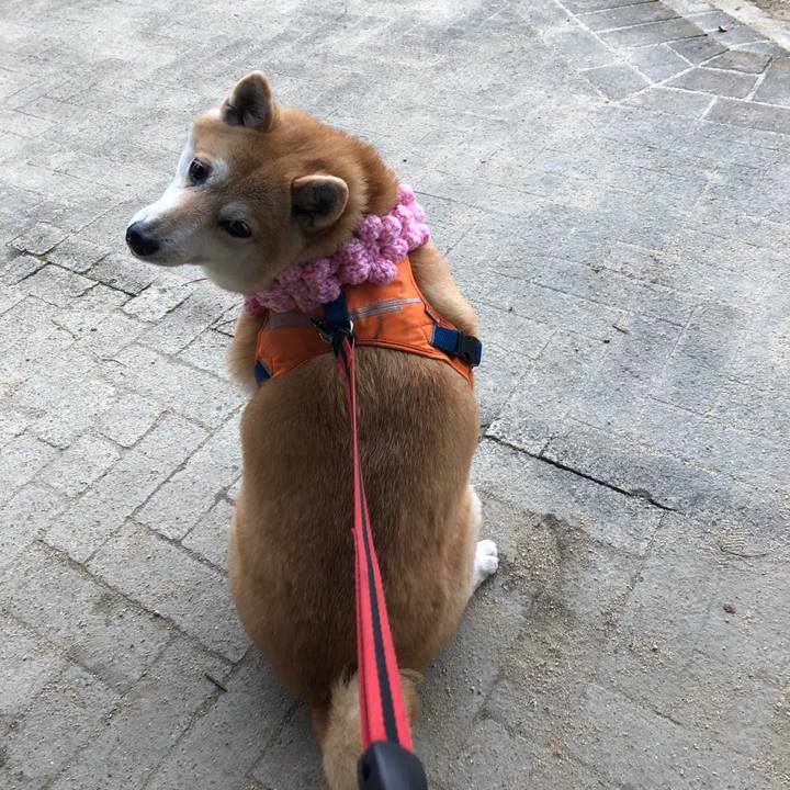 01c4d0cb b439 4df6 81bd 660c260b7d60 1550116714729