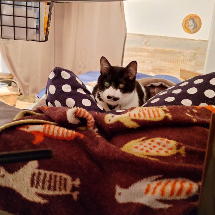 01c51213 8bbd 4cea 83f9 352b1adccd46 1770558993844