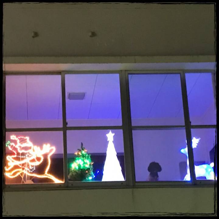 01c51821 28ff 4a16 b625 751f3a14d356 1544703521287