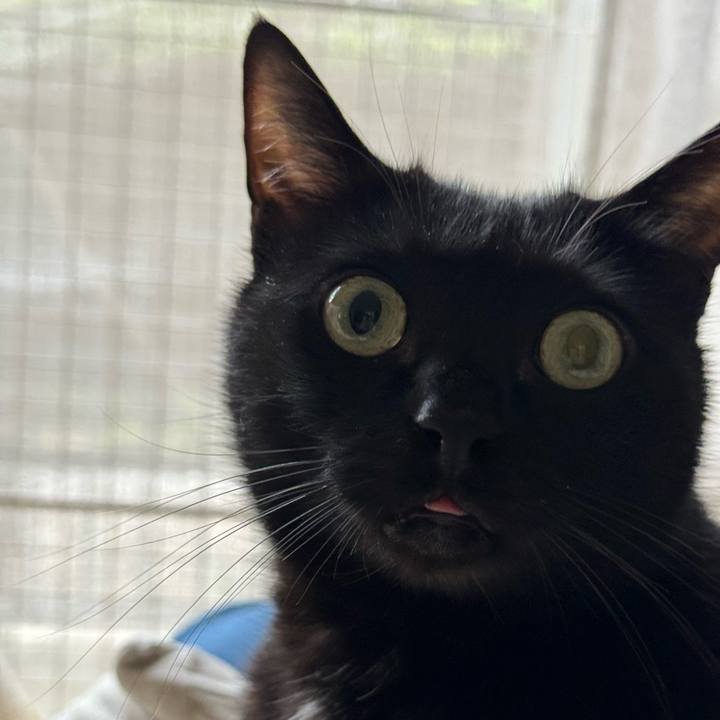 01c5482a ac7f 4077 87ef 5734365737cd 1718449016232